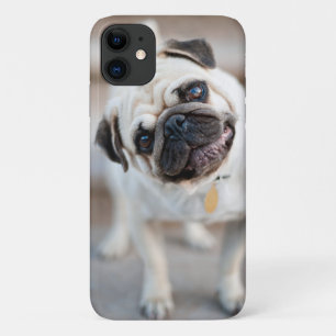 Mops-Kopfneigung Case-Mate iPhone Hülle