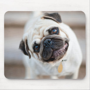 Mops-Kopfneigung Mousepad