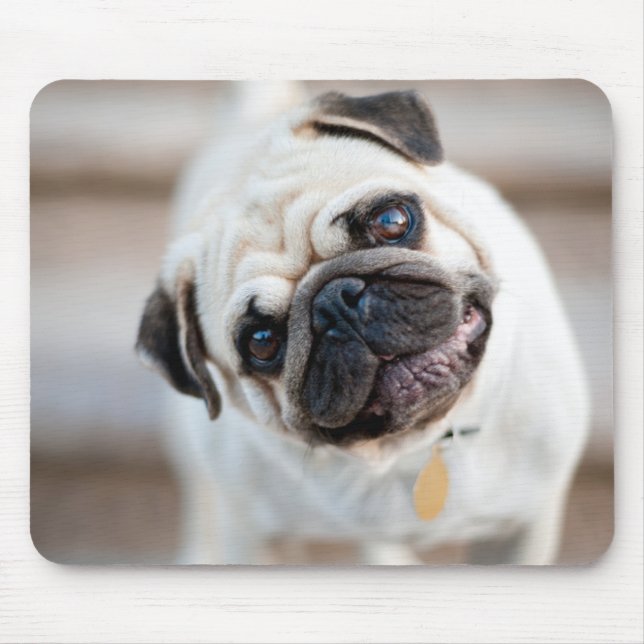 Mops-Kopfneigung Mousepad (Vorne)