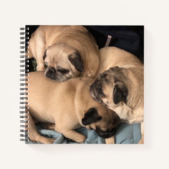 Mops-Liebe Notizbuch (Vorderseite)