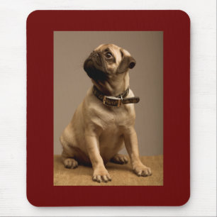 Mops-Liebe-Welpen-Hund-Braun-Computermauspad Mousepad