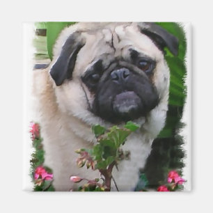 Mops Liebhaber Geschenke Magnet