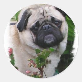 Mops Liebhaber Geschenke Runder Aufkleber