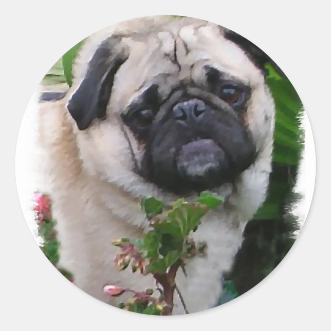 Mops Liebhaber Geschenke Runder Aufkleber (Vorderseite)