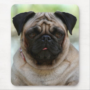 Mops-Liebhaber-Mops-Welpen-Porträt-Mauspad Mousepad