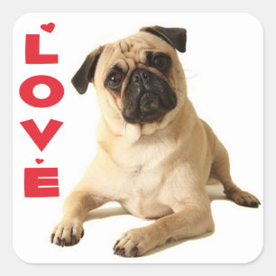 Mops-Lieblingspuppy - In Gedanken bei Dir Quadratischer Aufkleber