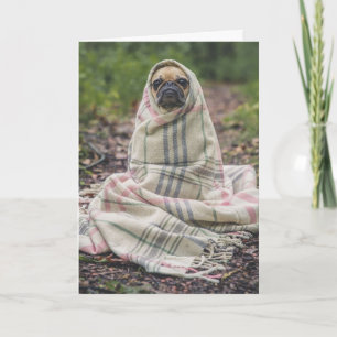 MOPS LIFE HUND GANZES FOTO GREETING CARD KARTE
