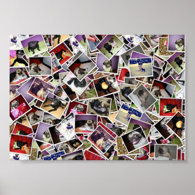 Mops Life Poster (Vorne)