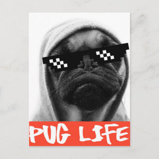 Mops Life Postkarte