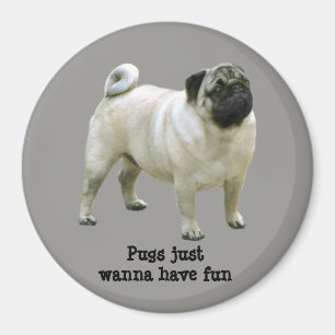 Mops Magnet