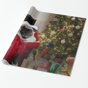 Mops Misha, das einen Bogen für Weihnachten träg Geschenkpapier