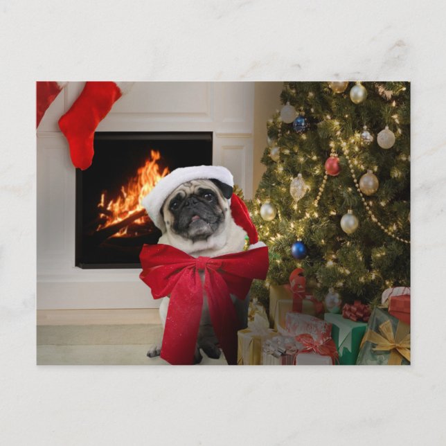 Mops Misha Weihnachtskarte Feiertagspostkarte (Vorderseite)