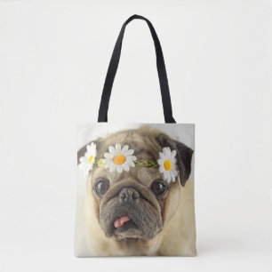 Mops mit Daisy Crown