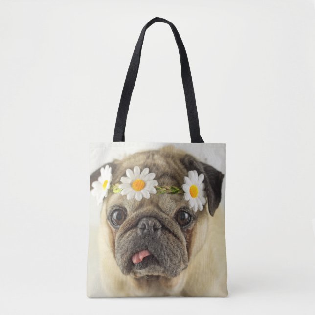 Mops mit Daisy Crown (Vorderseite)