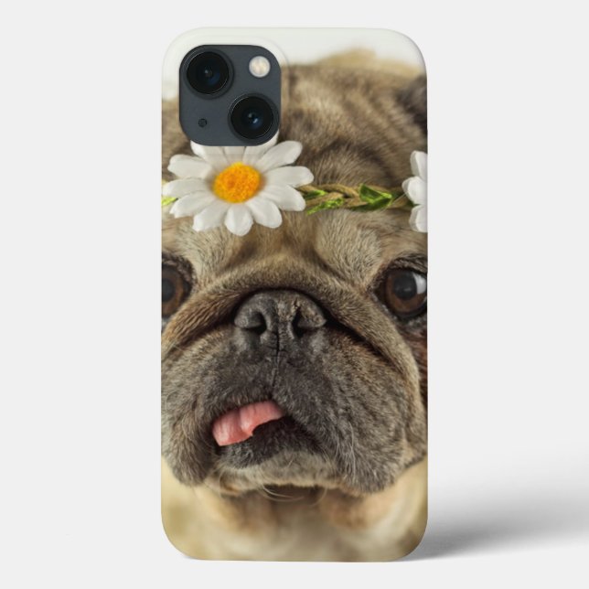 Mops mit Daisy Crown Case-Mate iPhone Hülle (Rückseite)
