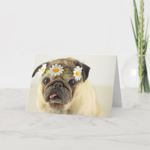 Mops mit Daisy Crown Karte