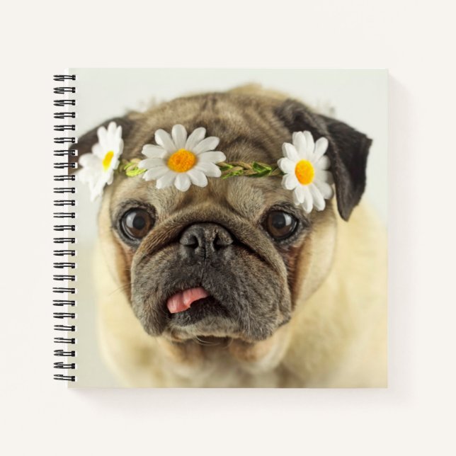 Mops mit Daisy Crown Notizbuch (Vorderseite)