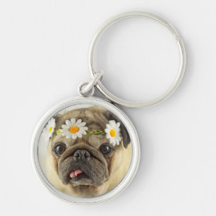 Mops mit Daisy Crown Schlüsselanhänger