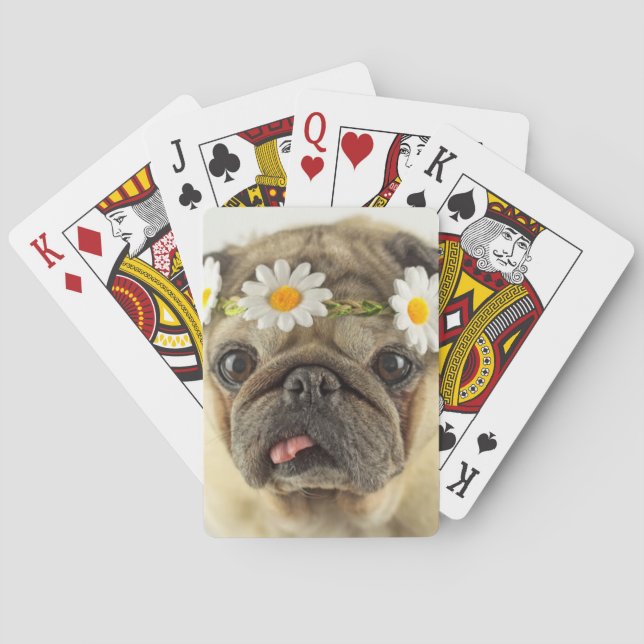 Mops mit Daisy Crown Spielkarten (Rückseite)