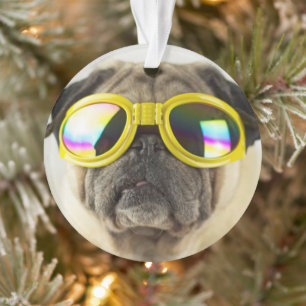 Mops mit Goggles Ornament