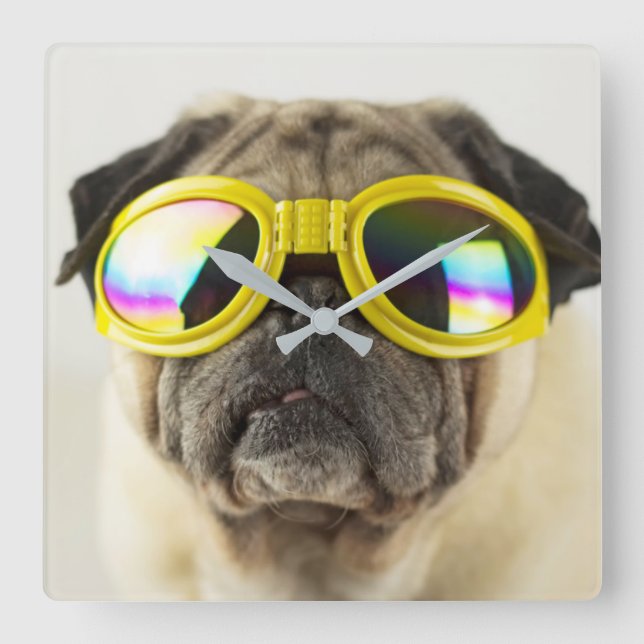 Mops mit Goggles Quadratische Wanduhr (Vorderseite)