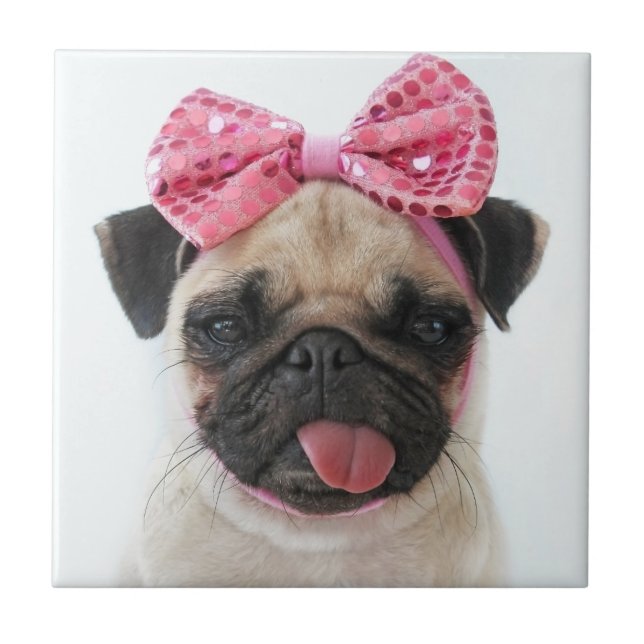 Mops mit rosa Bow Fliese (Vorderseite)