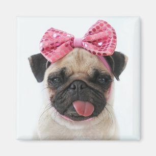 Mops mit rosa Bow Magnet