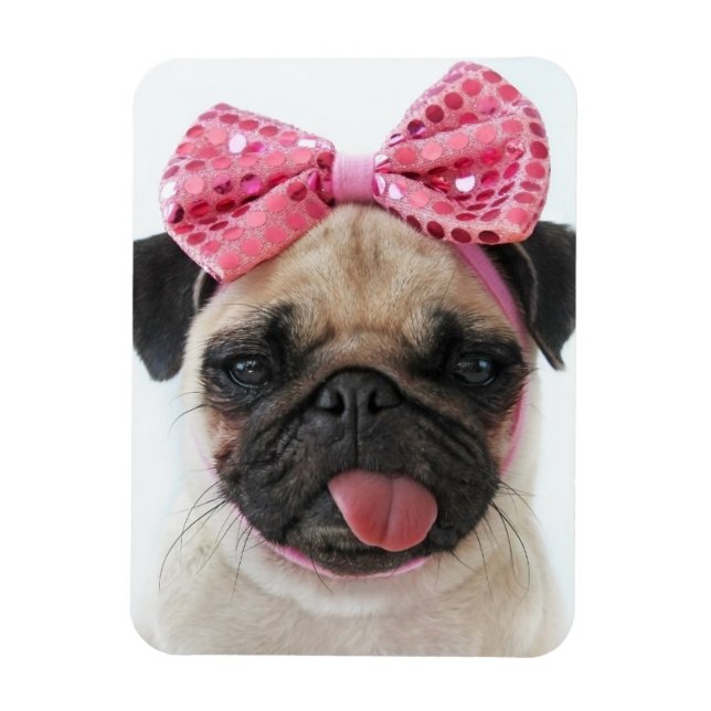 Mops mit rosa Bow Magnet (Vertikal)