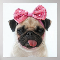 Mops mit rosa Bow