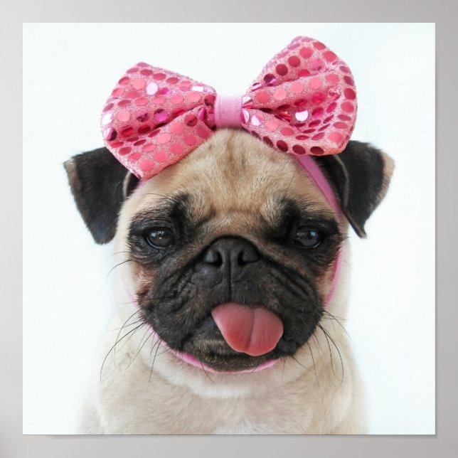 Mops mit rosa Bow Poster (Vorne)