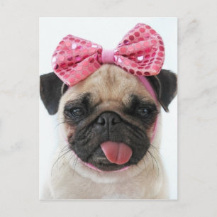 Mops mit rosa Bow Postkarte