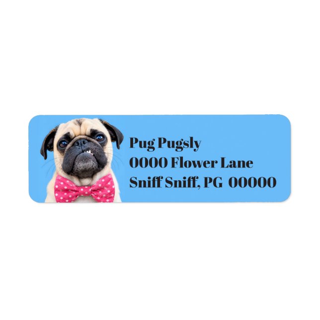 Mops mit rosa Fliege (Vorne)