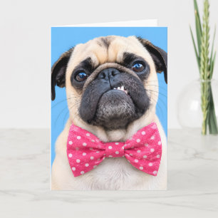 Mops mit rosa Fliege Feiertagskarte