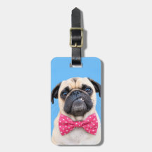 Mops mit rosa Fliege