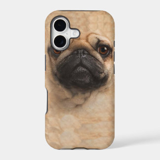 Mops-Mopsgesicht iphone 5 Abdeckungsfall