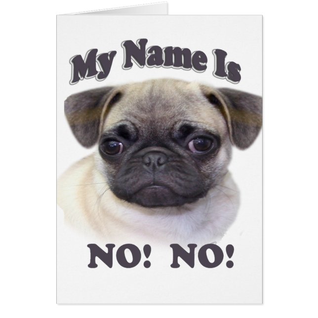 Mops Name ist NEIN! NEIN! (Vorne)