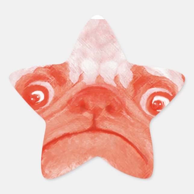 MOPS_orange3.png Stern-Aufkleber (Vorderseite)