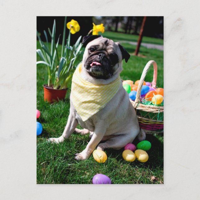 Mops Ostern Feiertagspostkarte (Vorderseite)