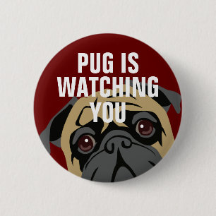 Mops passt auf button