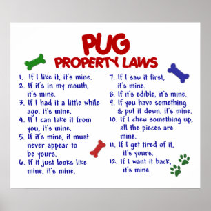 MOPS PL2 POSTER