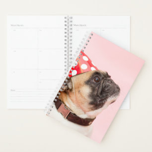Mops-Planer Planer