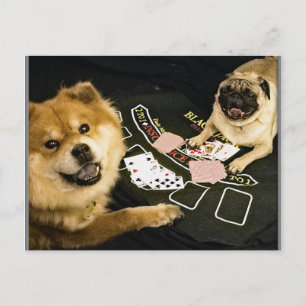 Mops Poker Postkarte