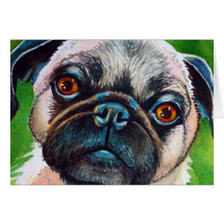 Mops Portrait