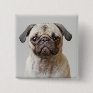 Mops Portrait Button