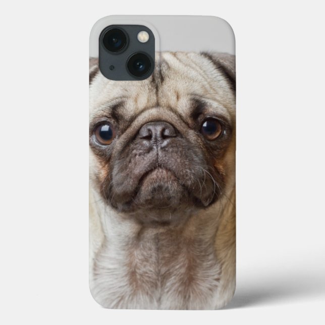 Mops Portrait Case-Mate iPhone Hülle (Rückseite)