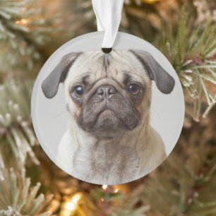 Mops-Portrait Ornament