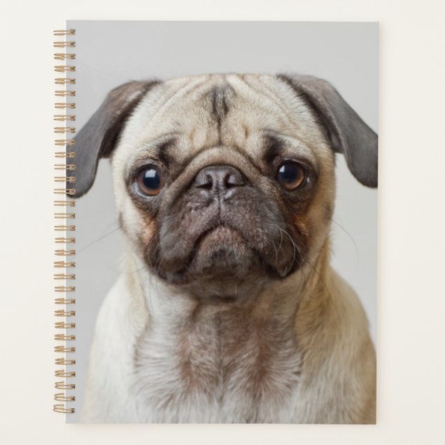 Mops Portrait Planer (Vorderseite)
