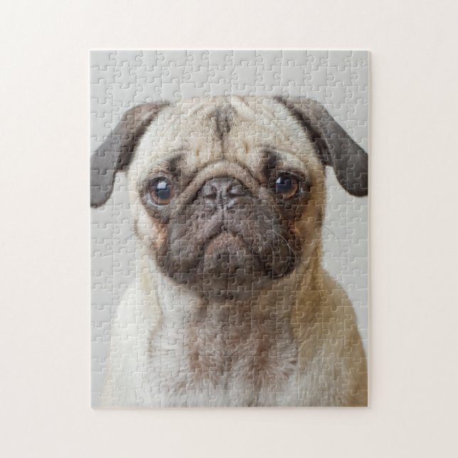 Mops-Portrait Puzzle (Vertikal)