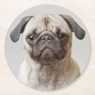 Mops-Portrait Runder Pappuntersetzer
