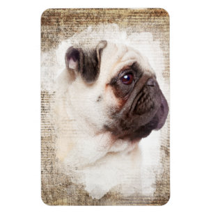 Mops-Porträt im Vintage-Stil Magnet